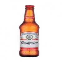 CERVEJA BUDWEISER OW 330ML KING OF