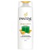 SH PANTENE 175ML RESTAURACAO