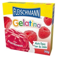 GELATINA FLEISCH 30G FRAMBOESA