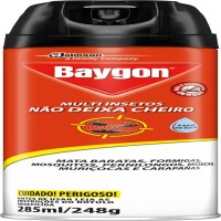 BAYGON 300ML S/CHEIRO