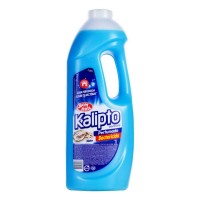 DESINF KALIPTO 2L MARINE